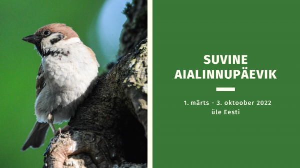 Suvine aialinnupäevik