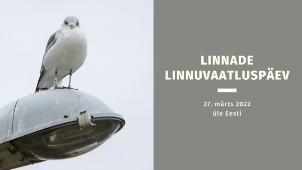 Linnade linnuvaatluspäev