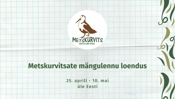 Metskurvitsate mängulennu loendus