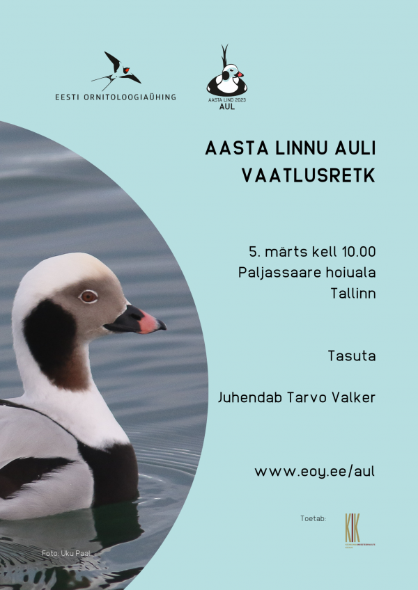 Aasta linnu auli vaatlusretk