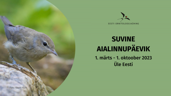 Suvine aialinnupäevik