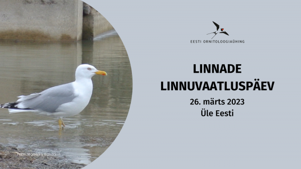 Linnade linnuvaatluspäev