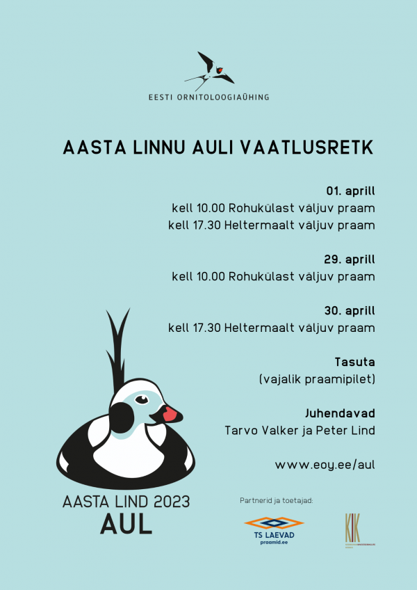 Aasta linnu auli vaatlusretk