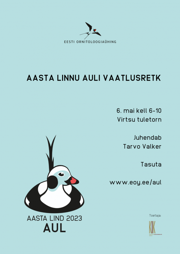 Aasta linnu auli vaatlusretk