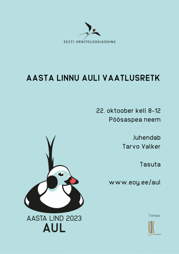 Aasta linnu auli vaatlusretk