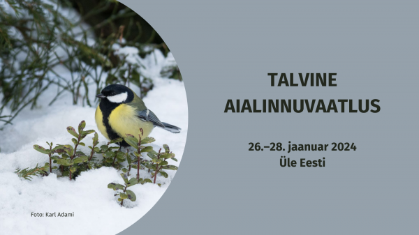 Talvine aialinnuvaatlus