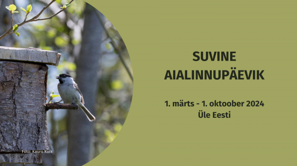 Suvine aialinnupäevik