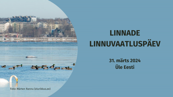 Linnade linnuvaatluspäev