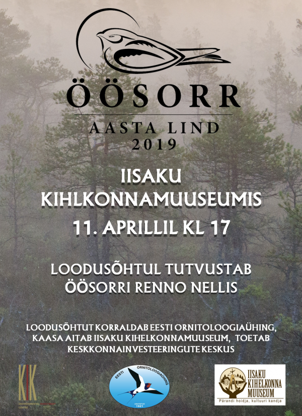 Linnuõhtu "Öösorr-aasta lind"