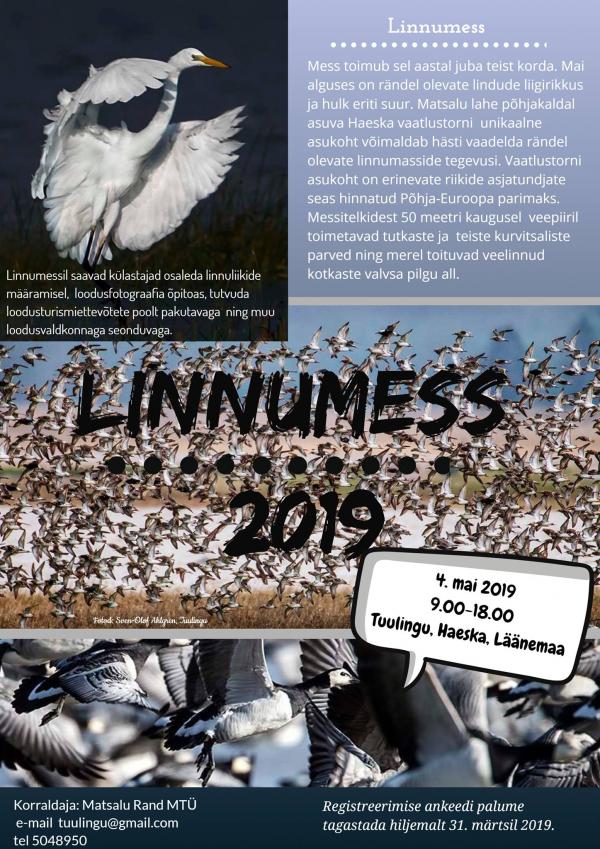 Linnumess 2019