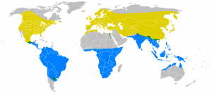 Suitsupääsukese alamliikide levik maailmas. Allikas: Wikipedia.