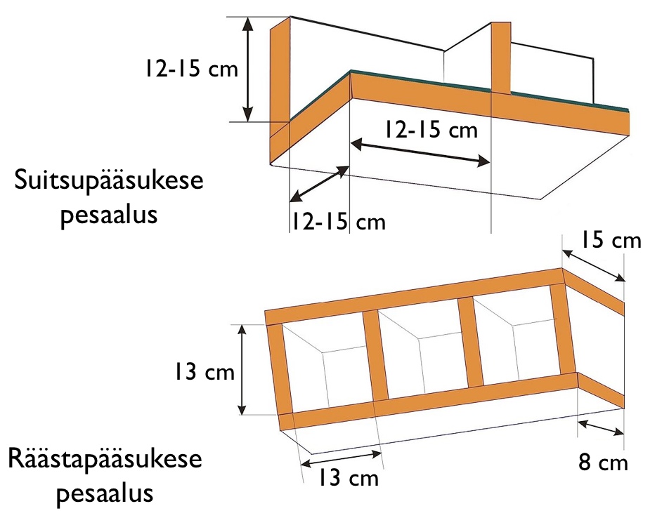 Pääsukeste pesaalused
