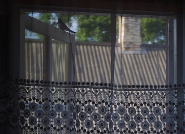 Noortearvestuse 3. koht: Jane Vako